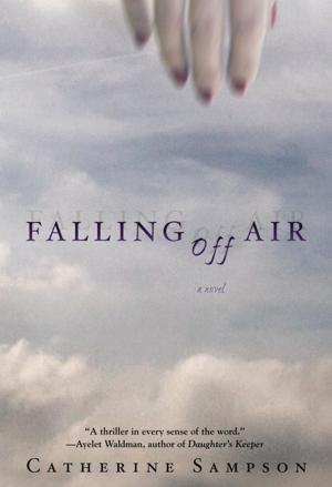 Cover of the book Falling Off Air by Troy Conway