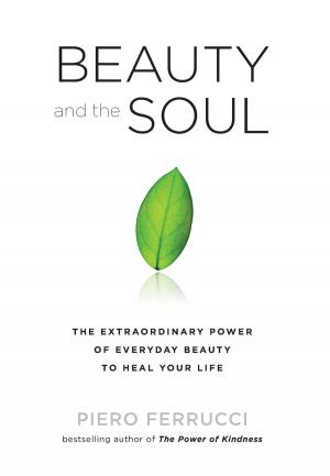 Cover of the book Beauty and the Soul by Judi McCoy