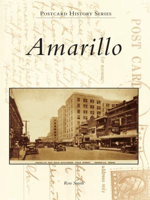 Cover of the book Amarillo by L. Louise Haynes, Charlotte Pedersen, St. Albans Historical Museum