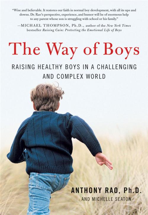 Cover of the book The Way of Boys by Anthony Rao PhD, Michelle D. Seaton, HarperCollins e-books