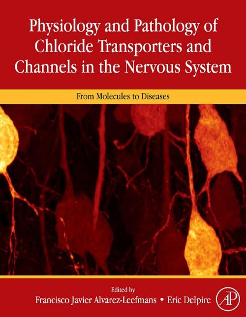 Cover of the book Physiology and Pathology of Chloride Transporters and Channels in the Nervous System by , Elsevier Science