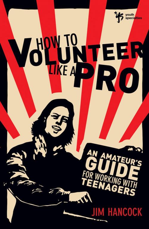 Cover of the book How to Volunteer Like a Pro by Jim Hancock, Zondervan