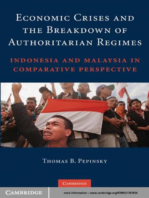 Cover of the book Economic Crises and the Breakdown of Authoritarian Regimes by Thomas B. Pepinsky, Cambridge University Press