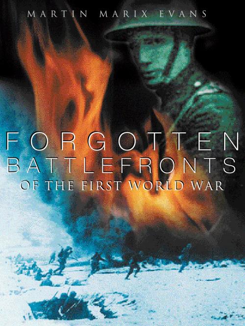 Cover of the book Forgotten Battlefronts of the First World War by Martin Marix Evans, The History Press