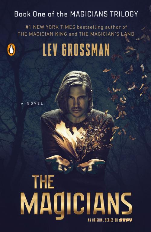 Cover of the book The Magicians by Lev Grossman, Penguin Publishing Group