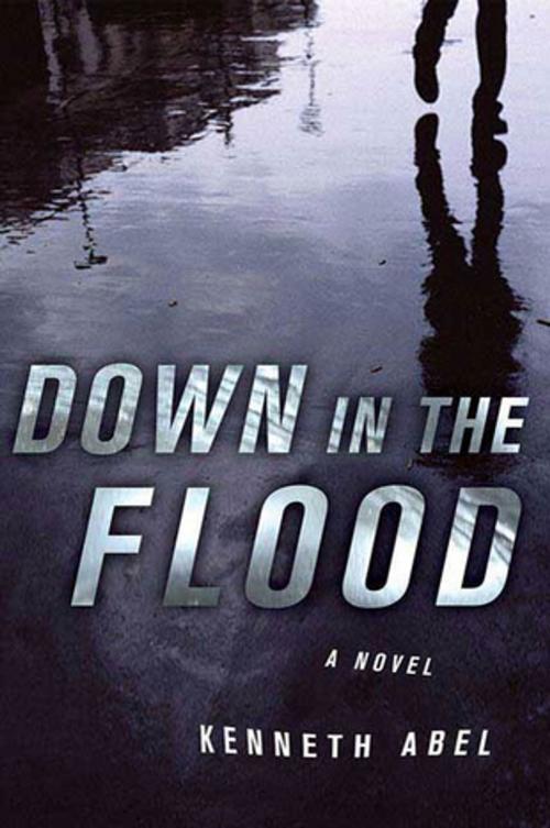 Cover of the book Down in the Flood by Kenneth Abel, St. Martin's Press