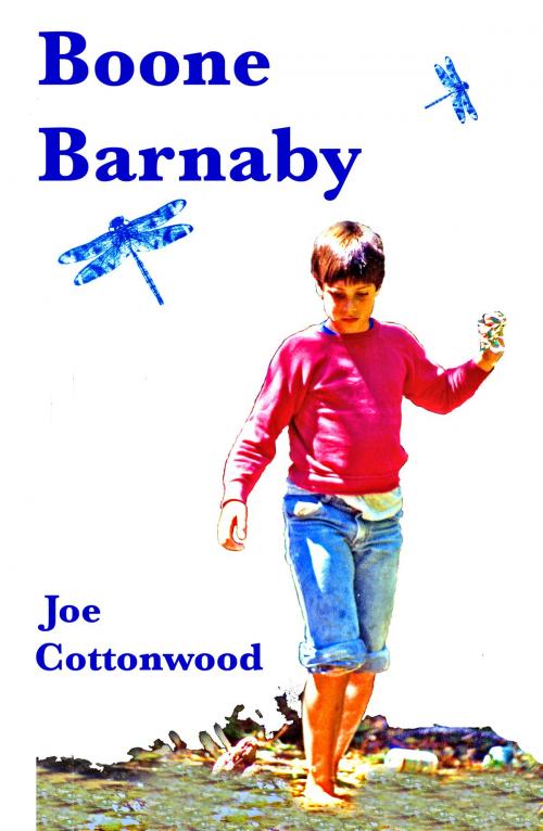 Cover of the book Boone Barnaby by Joe Cottonwood, Joe Cottonwood