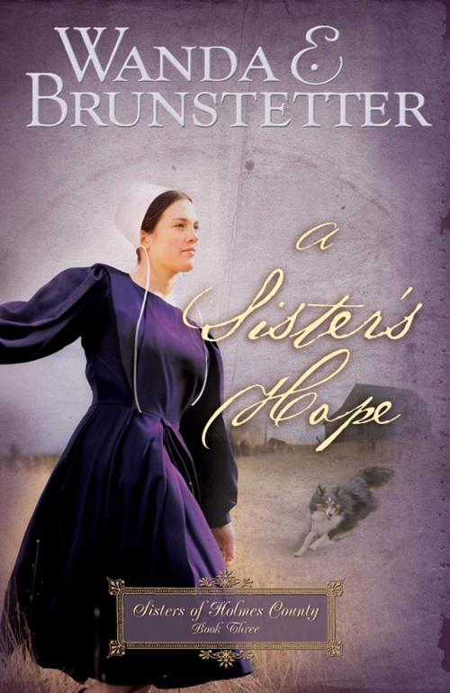 Cover of the book A Sister's Hope by Wanda E. Brunstetter, Barbour Publishing, Inc.