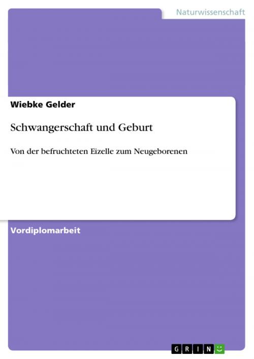 Cover of the book Schwangerschaft und Geburt by Wiebke Gelder, GRIN Verlag