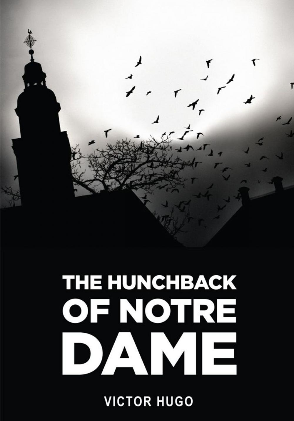 Big bigCover of The Hunchback Of Notre Dame