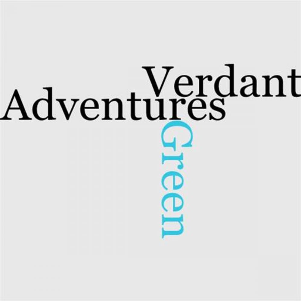 Big bigCover of The Adventures Of Mr. Verdant Green