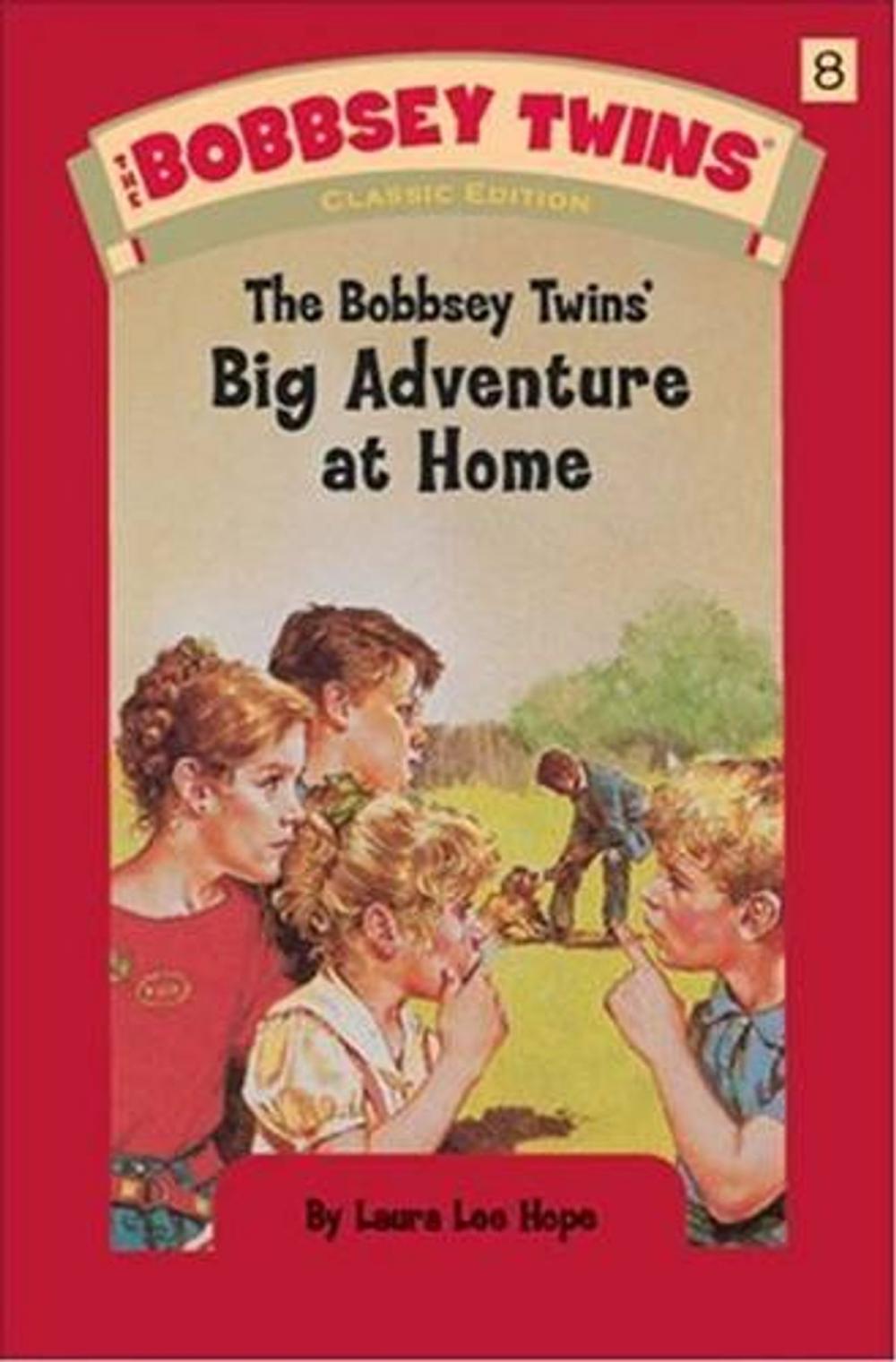 Big bigCover of The Bobbsey Twins At Home