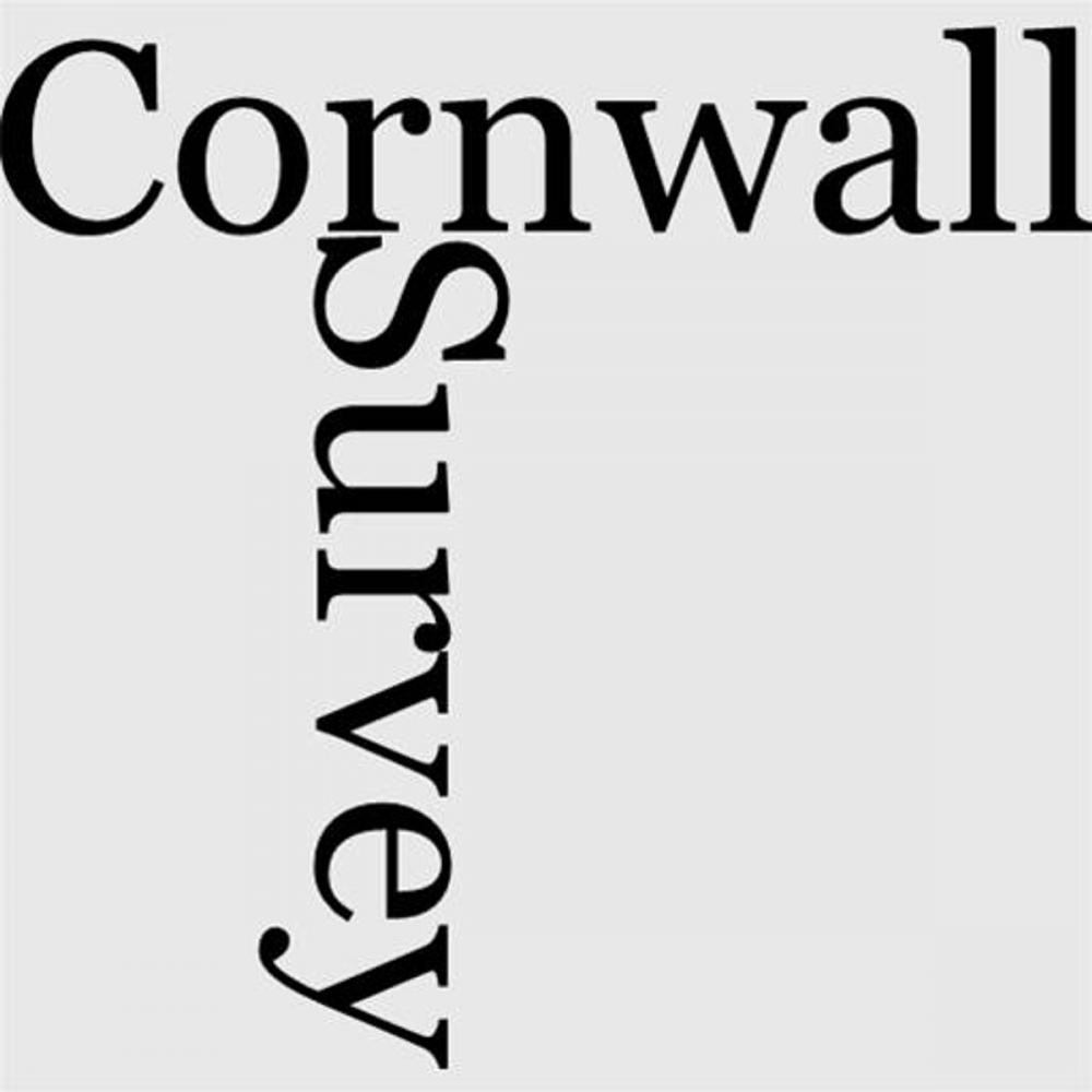 Big bigCover of The Survey Of Cornwall