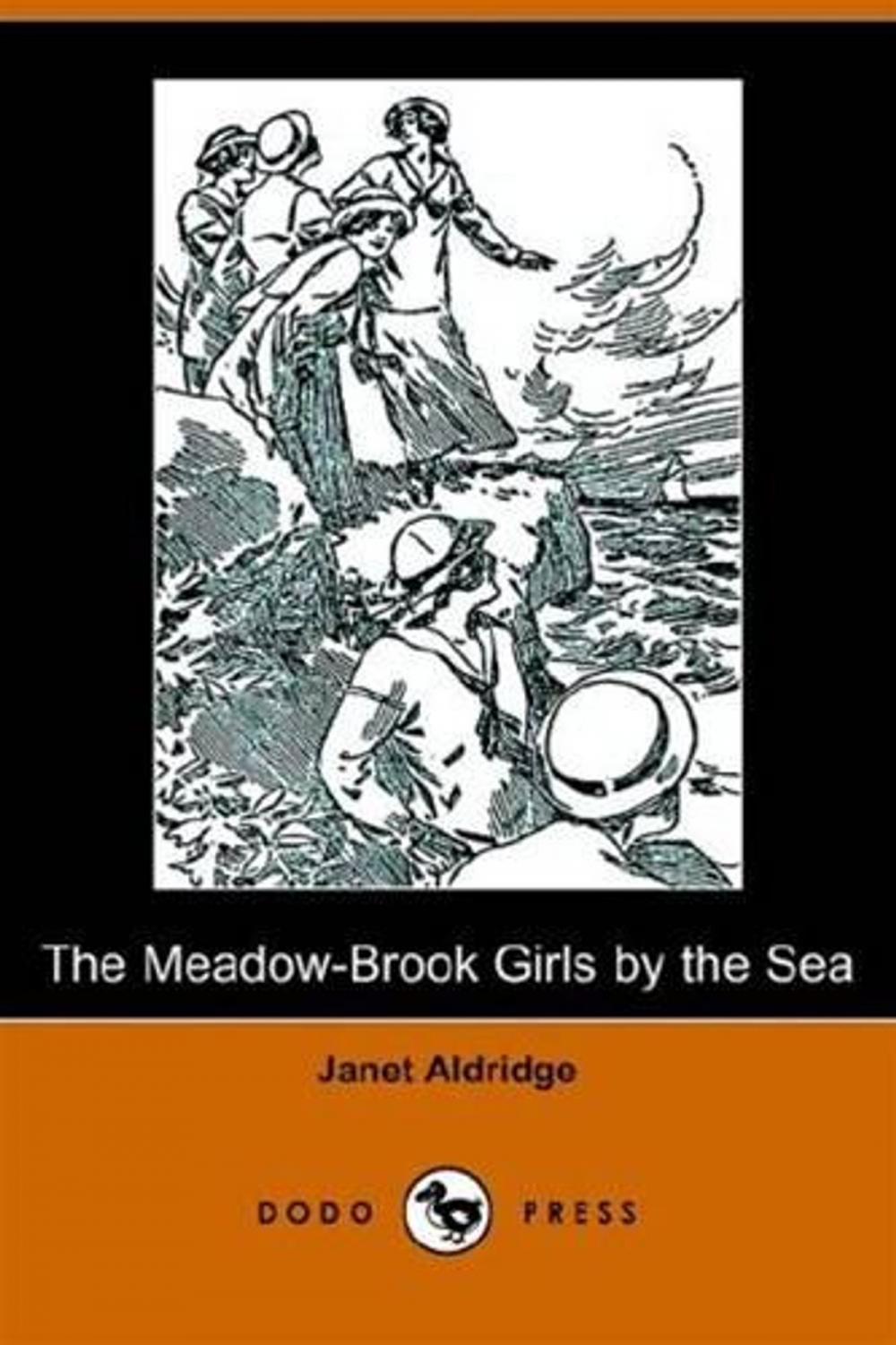 Big bigCover of The Meadow-Brook Girls By The Sea