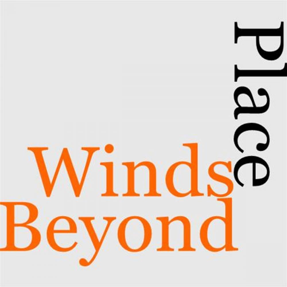 Big bigCover of The Place Beyond The Winds