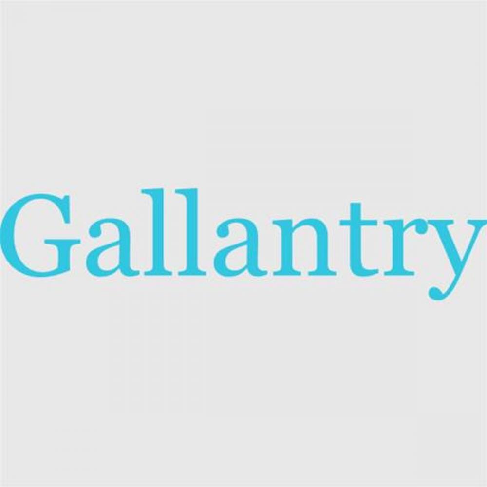 Big bigCover of Gallantry