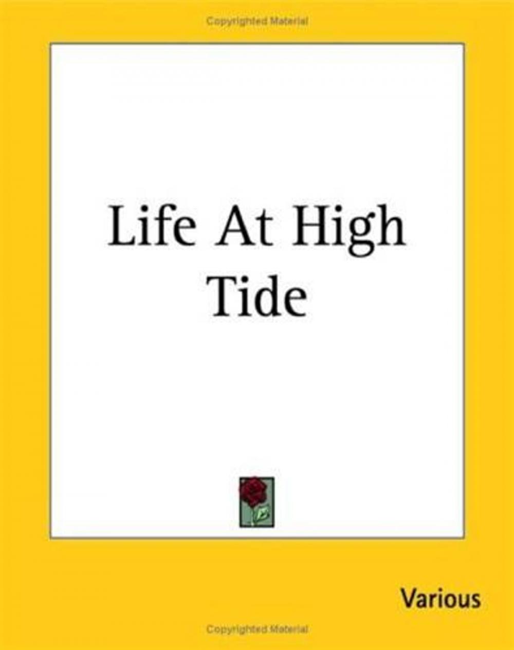 Big bigCover of Life At High Tide