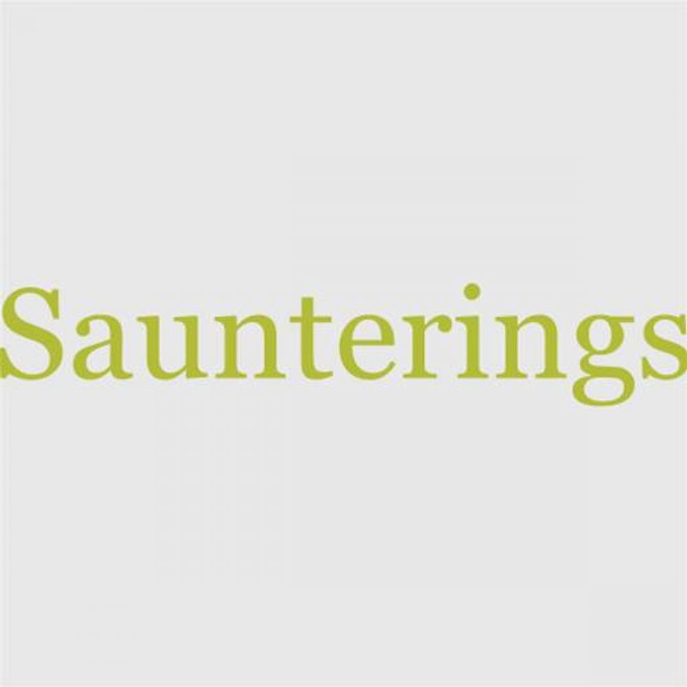 Big bigCover of Saunterings