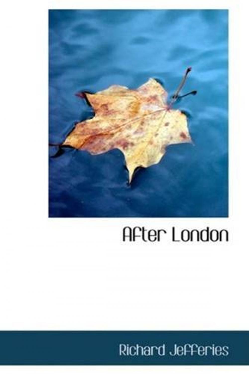 Big bigCover of After London