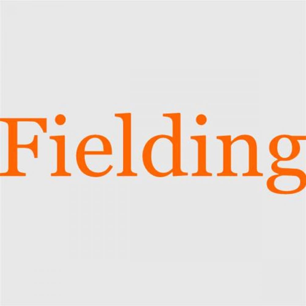 Big bigCover of Fielding