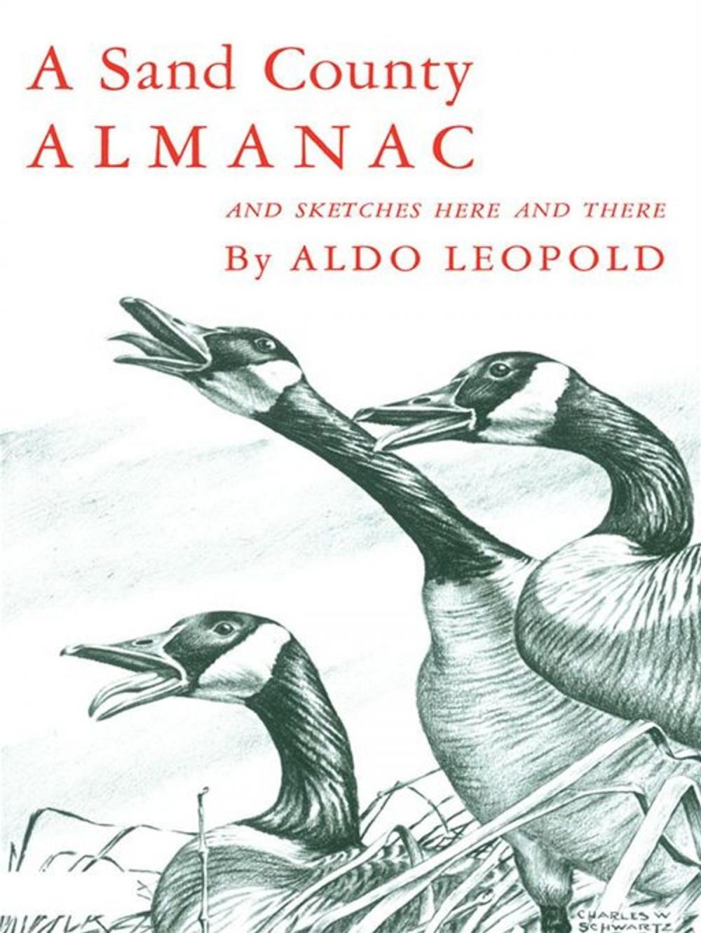 Big bigCover of A Sand County Almanac : With Other Essays On Conservation From Round River