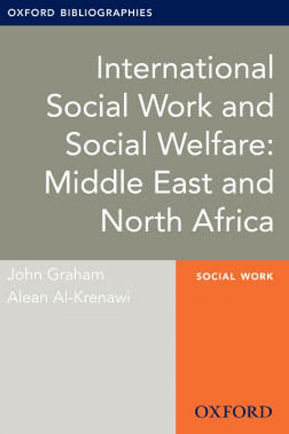 Big bigCover of International Social Work and Social Welfare: Middle East and North Africa