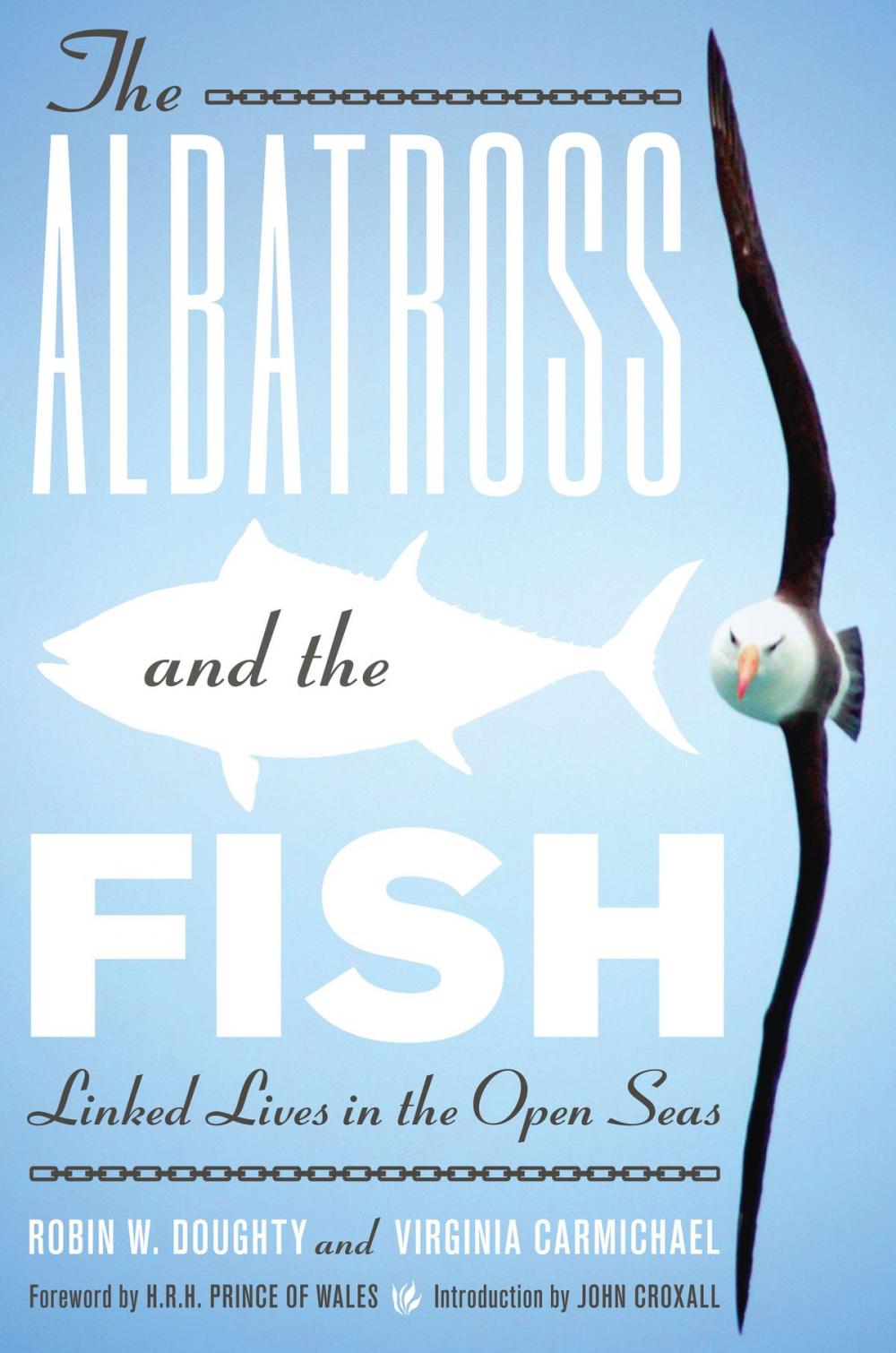 Big bigCover of The Albatross and the Fish