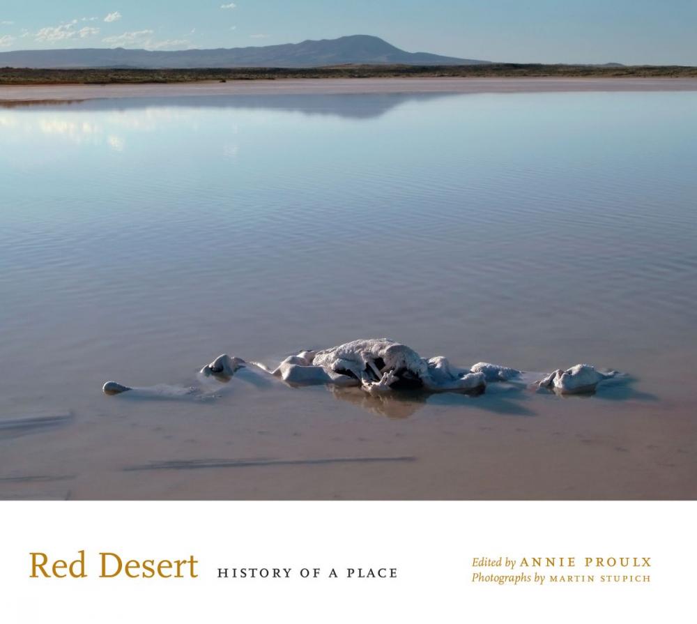 Big bigCover of Red Desert