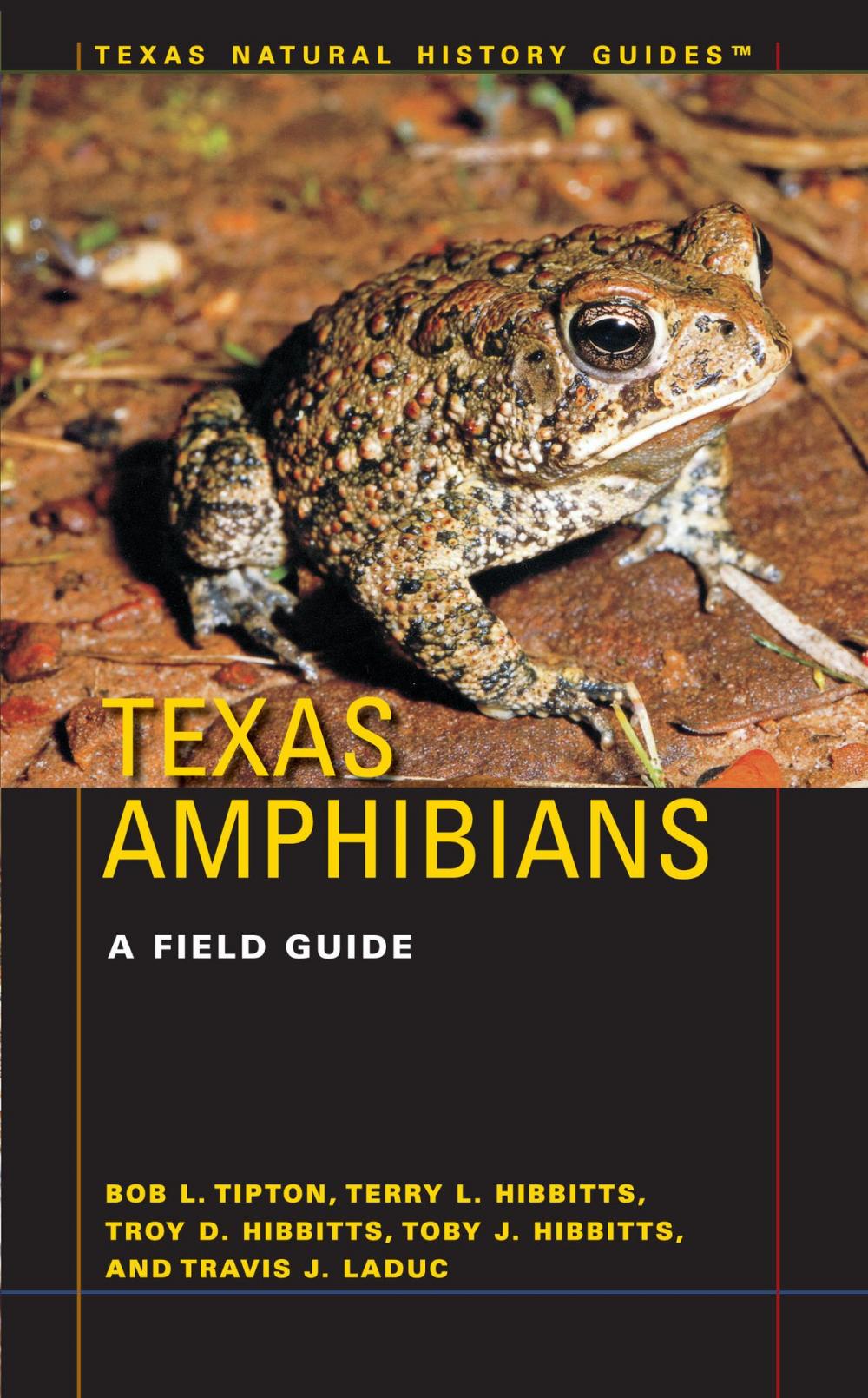 Big bigCover of Texas Amphibians