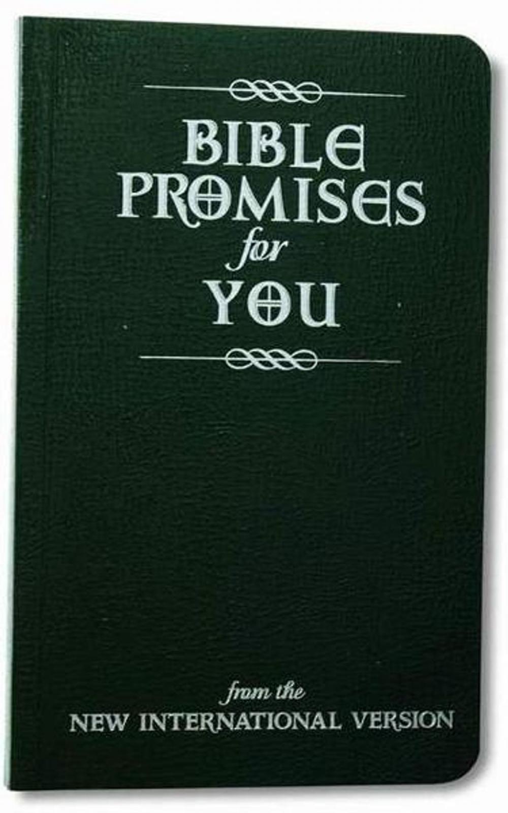 Big bigCover of Bible Promises for You