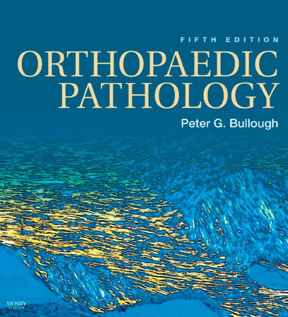 Big bigCover of Orthopaedic Pathology