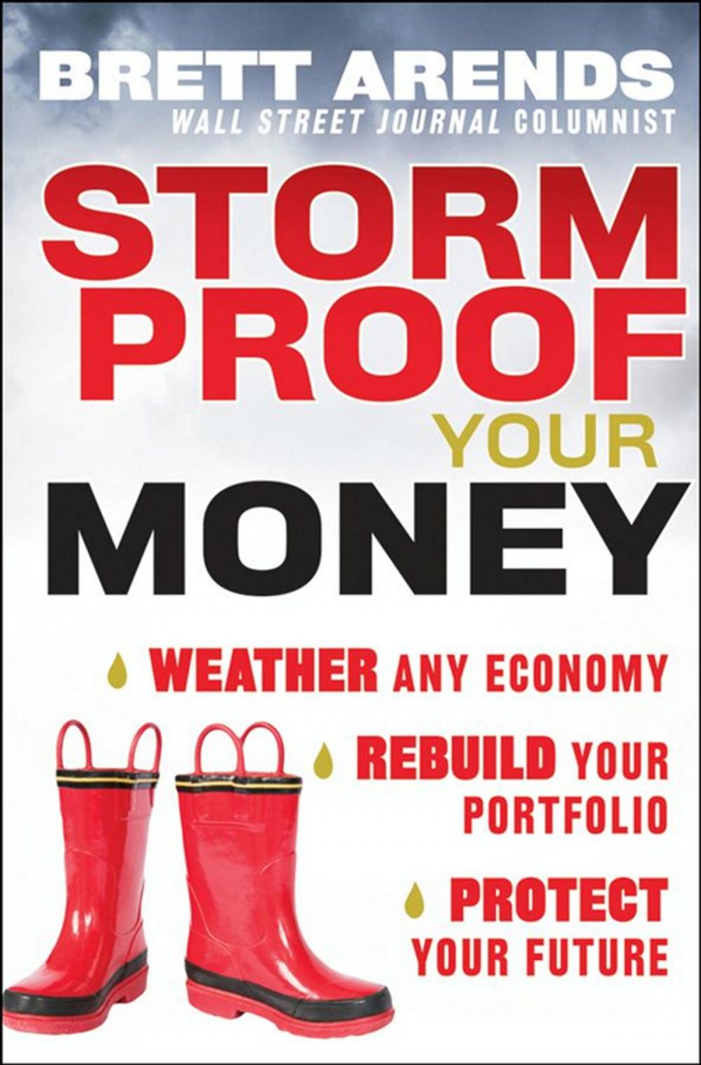 Big bigCover of Storm Proof Your Money