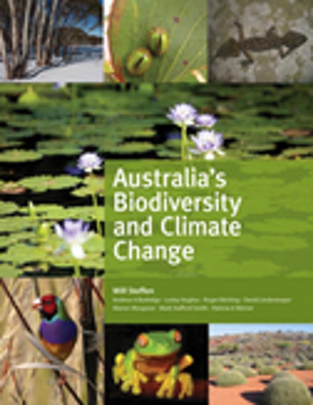 Big bigCover of Australia's Biodiversity and Climate Change