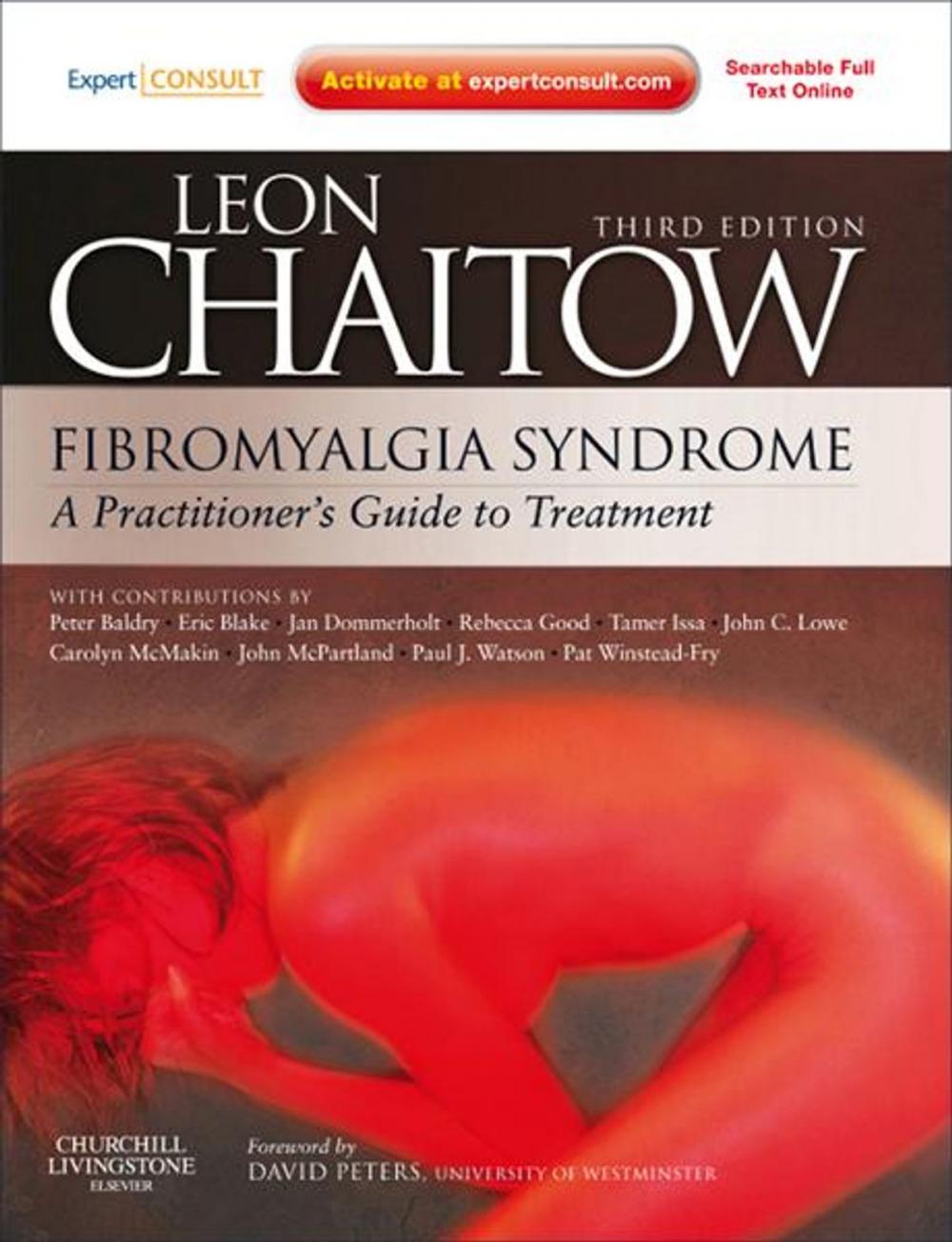 Big bigCover of Fibromyalgia Syndrome: A Practitioner's Guide to Treatment