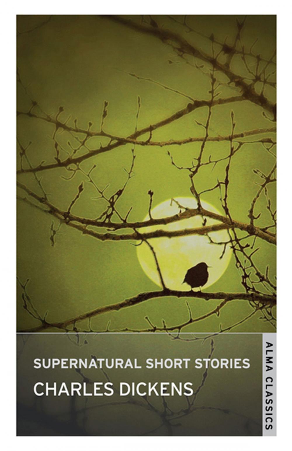 Big bigCover of The Supernatural Short Stories