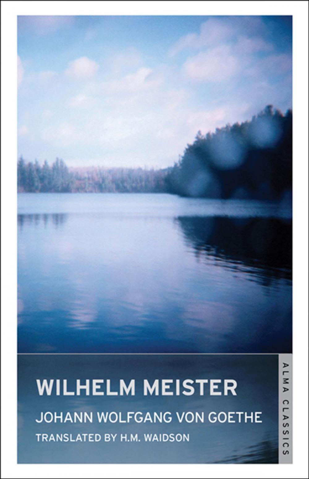 Big bigCover of Wilhelm Meister