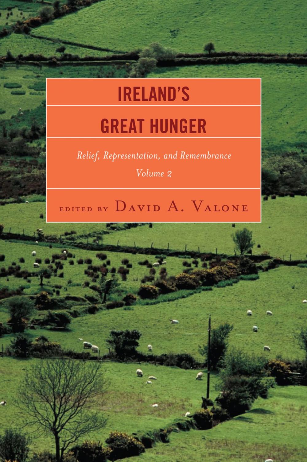 Big bigCover of Ireland's Great Hunger