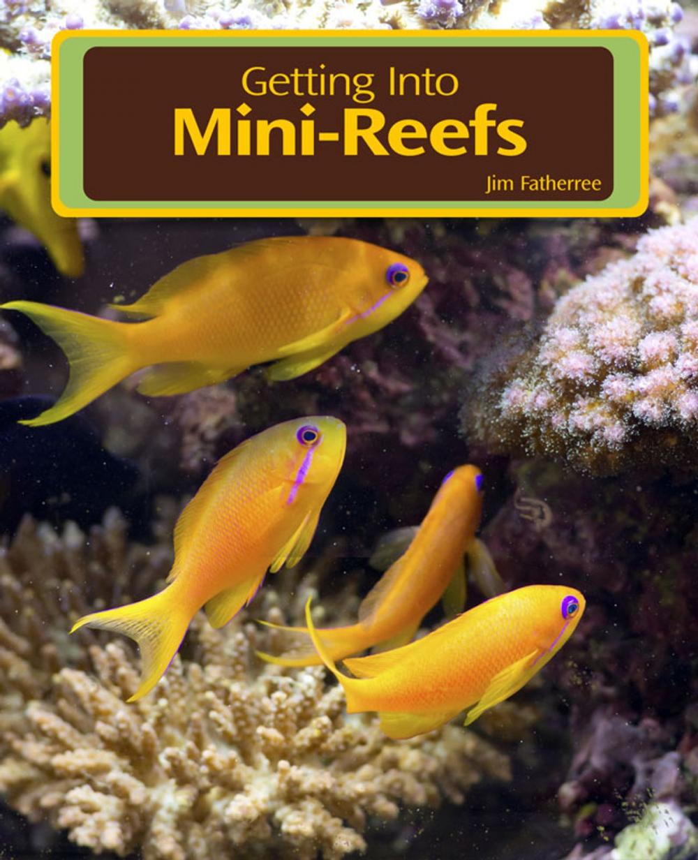 Big bigCover of Getting Into Mini Reefs