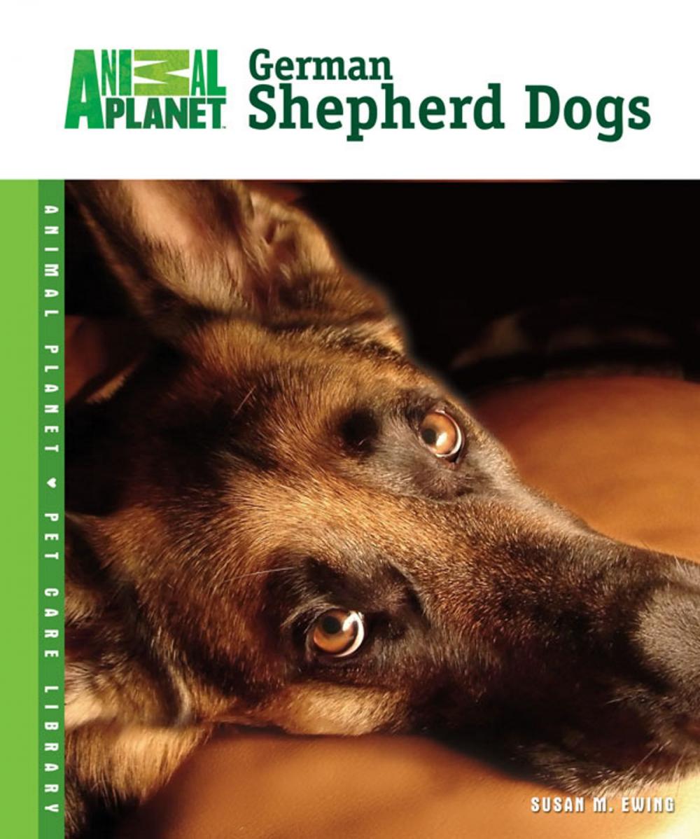 Big bigCover of German Shepherd Dogs