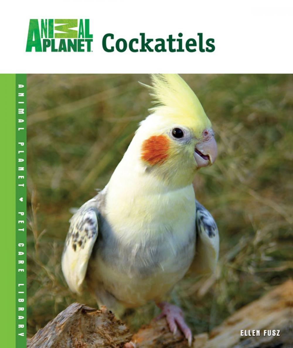 Big bigCover of Cockatiels