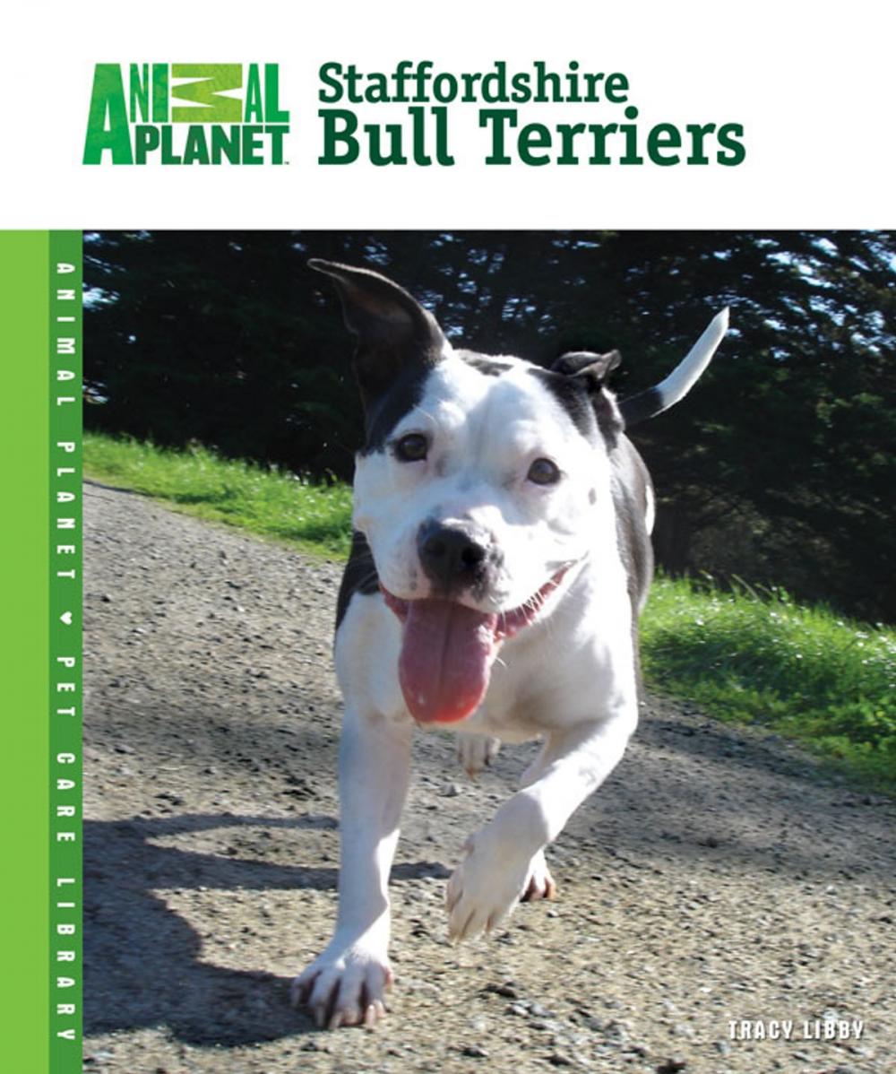 Big bigCover of Staffordshire Bull Terriers