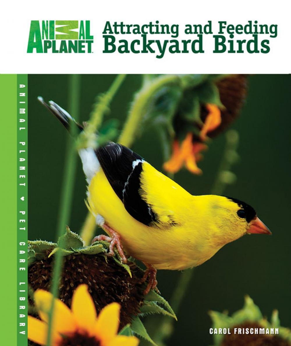 Big bigCover of Attracting and Feeding Backyard Birds