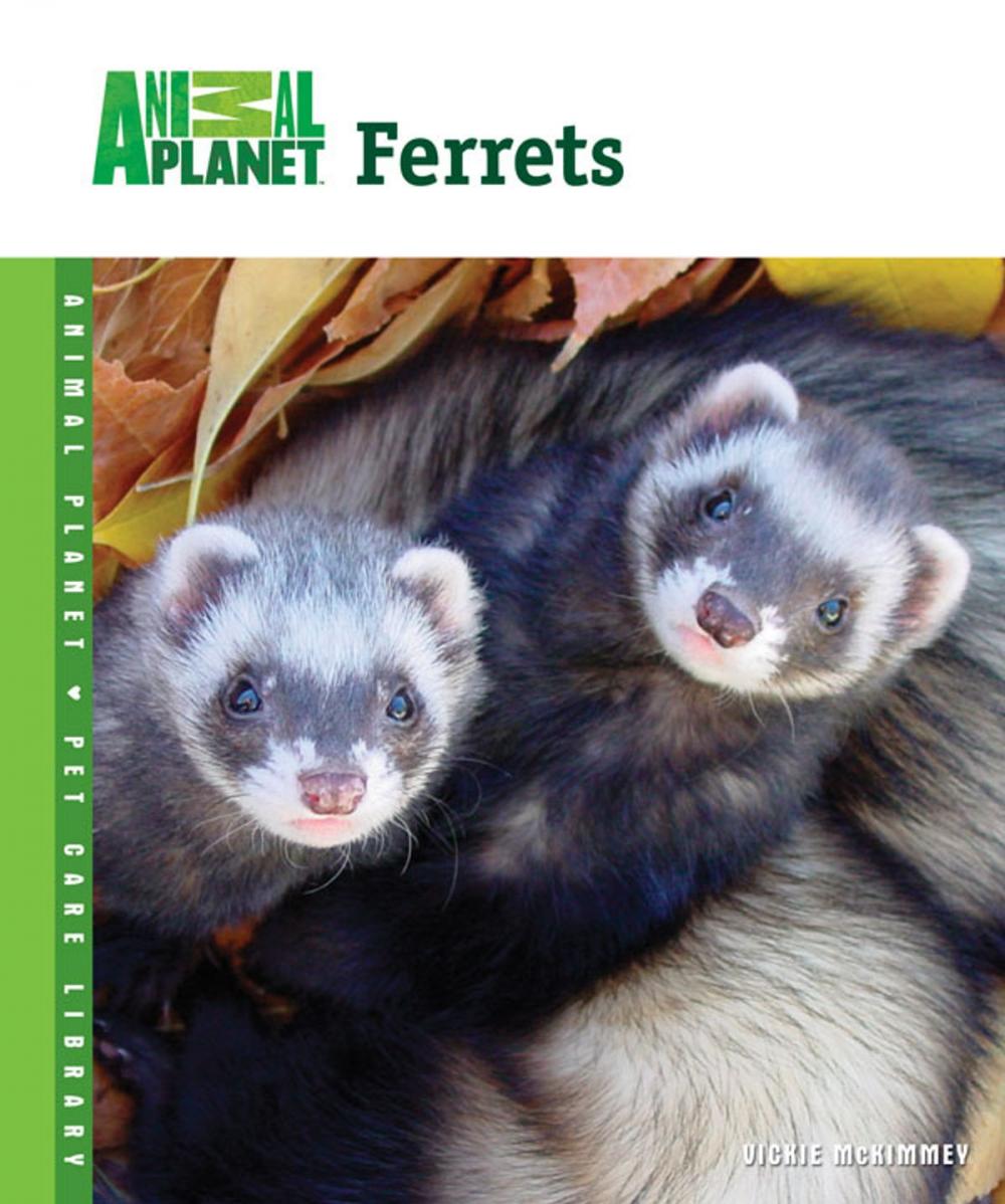 Big bigCover of Ferrets