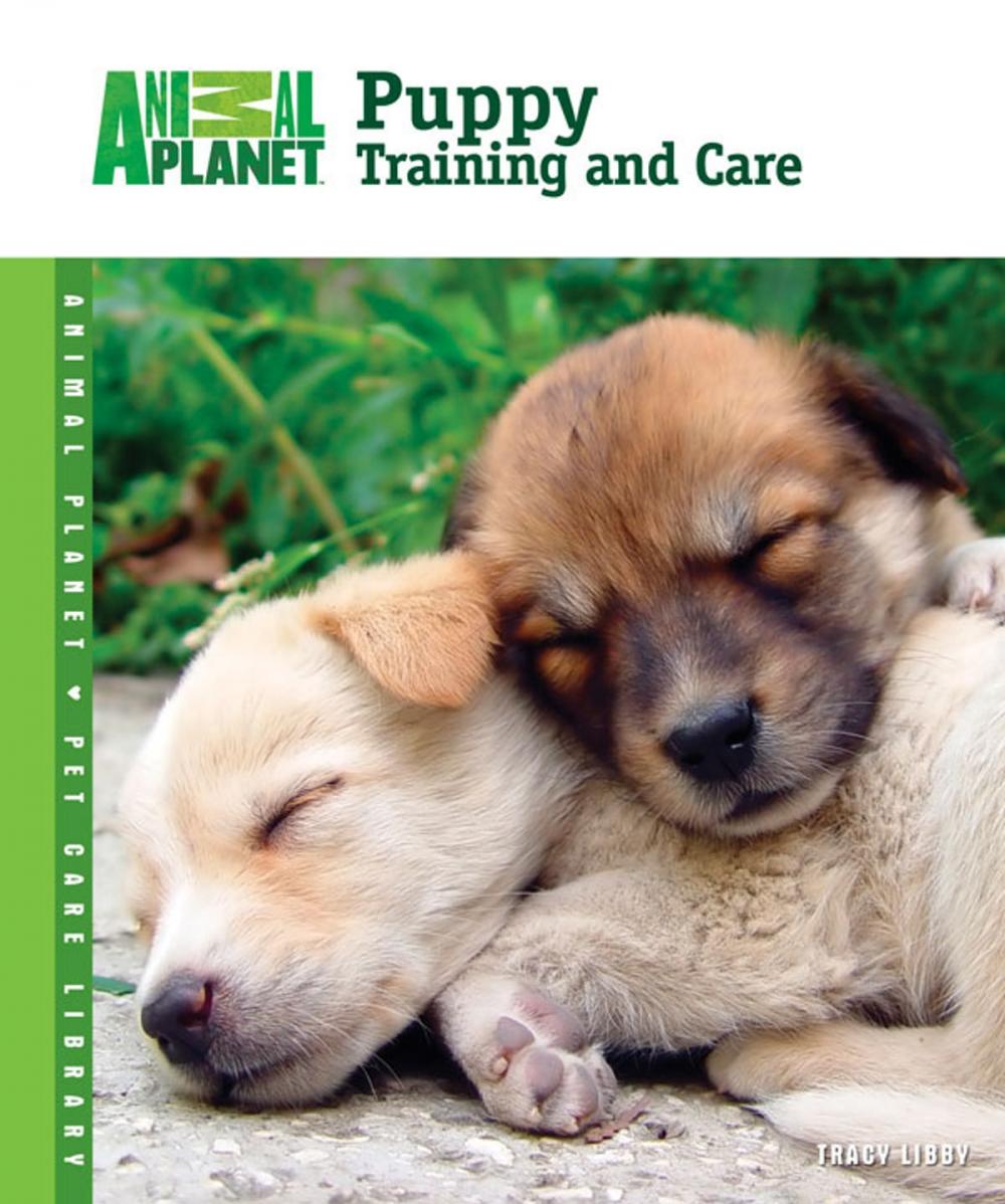 Big bigCover of Puppy Training and Care