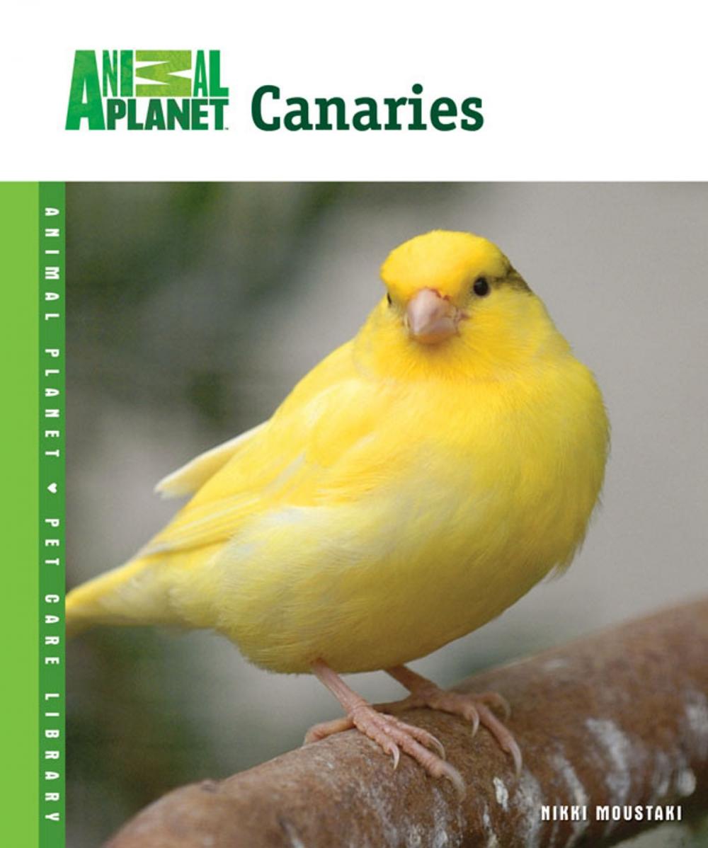 Big bigCover of Canaries