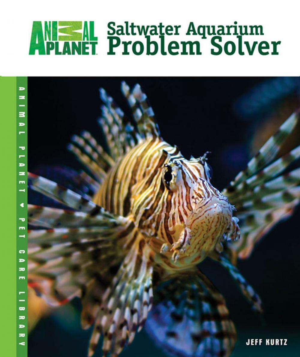 Big bigCover of Saltwater Aquarium Problem Solver