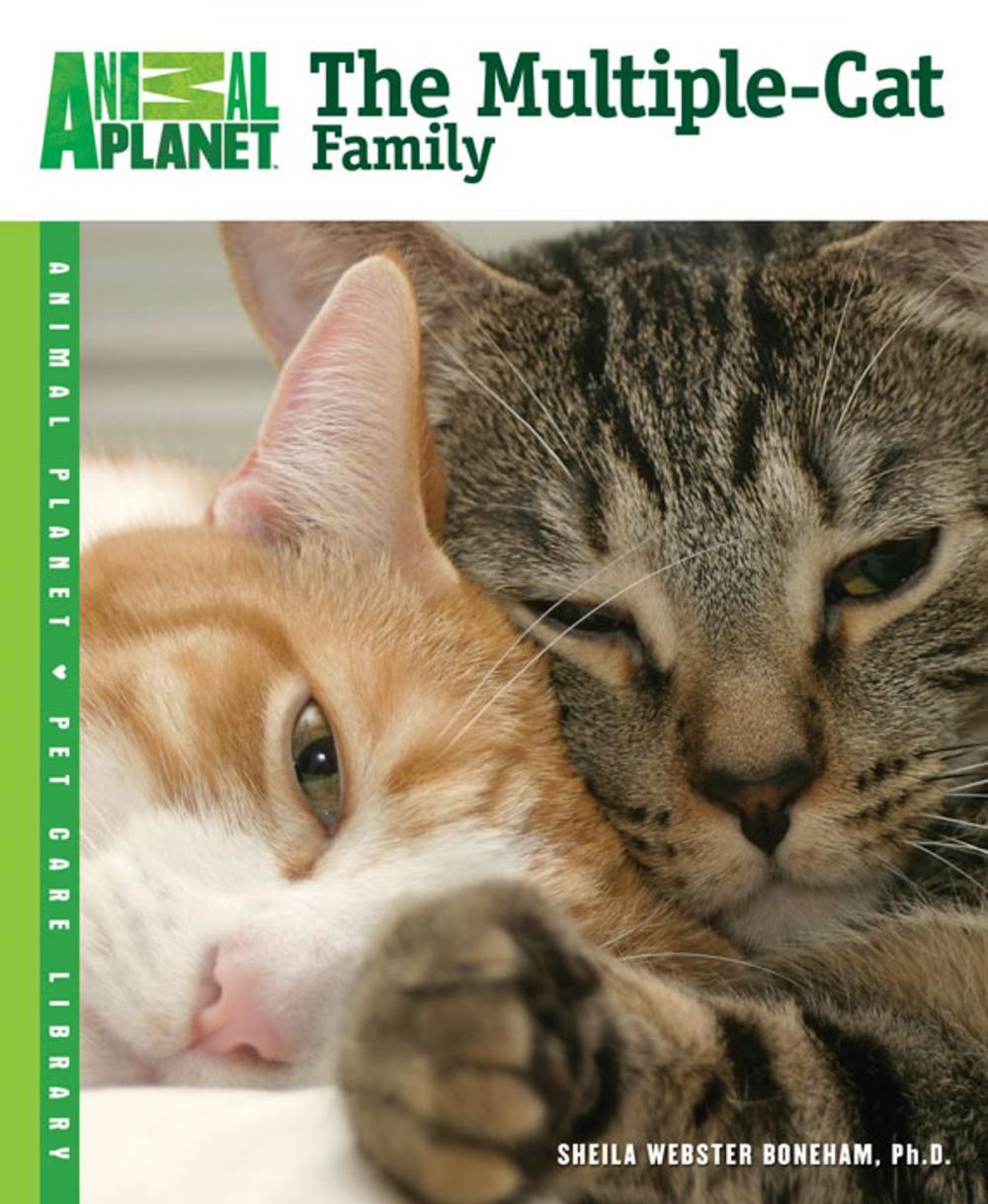 Big bigCover of The Multiple-Cat Family