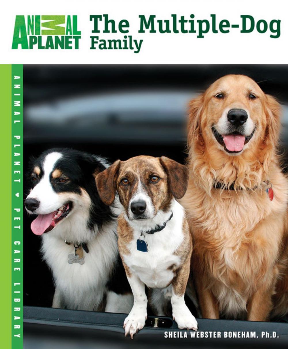 Big bigCover of The Multiple-Dog Family