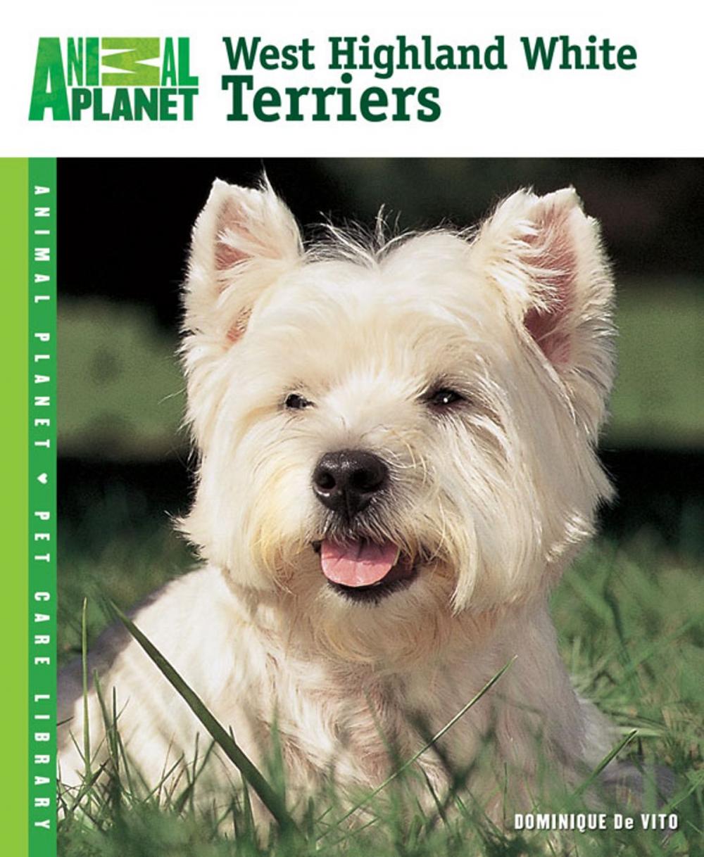 Big bigCover of West Highland White Terriers