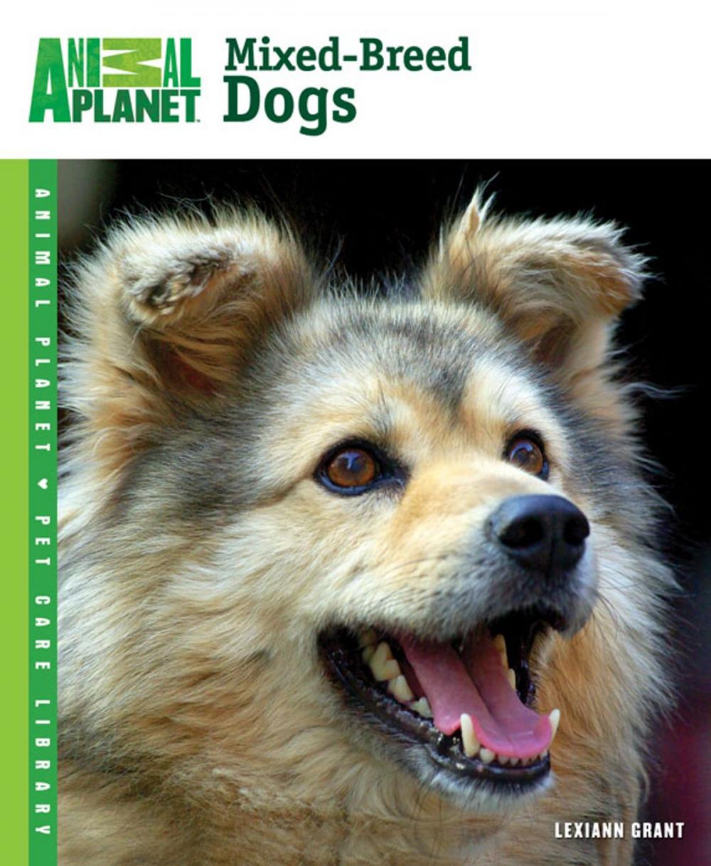 Big bigCover of Mixed-Breed Dogs